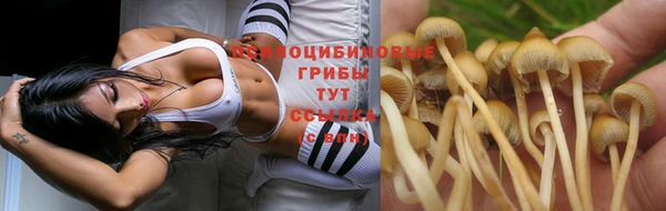 трава Мегион